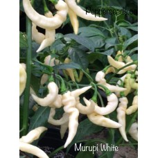 Murupi White Pepper Seeds 