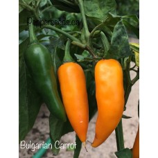Bulgarian Carrot Pepper Seeds 
