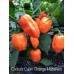 Oxkutz Cabian Orange Habanero Pepper Seeds