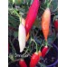 Aji Omnicolor Pepper Seeds