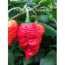 7-Pot Carolina Reaper Red Long Pepper Seeds 