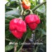 Antillais Caribbean Habanero Pepper Seeds Antillais Caribbean Habanero Pepper Seeds