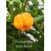 7-Pot Jonah Yellow x Scotch Bonnet Pepper Seeds 7-Pot Jonah Yellow x Scotch Bonnet Pepper Seeds