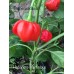 Habanero Martinique Pepper Seeds Habanero Martinique Pepper Seeds