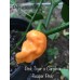 Pink Tiger x Carolina Reaper Pink Pepper Seeds 