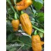 Datil Mustard Pepper Seeds