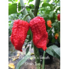 7-Pot Dragon’s Breath Strain Two Pepper Seeds 