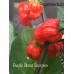 Purple Ghost Scorpion Pepper Seed