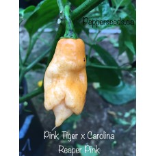 Pink Tiger x Carolina Reaper Pink Pepper Seeds 