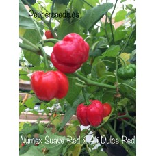 Numex Suave Red x Aji Dulce Red Pepper Seeds