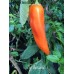 Aji Amarillo Pepper Seeds