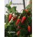 Aji Benito Pepper Seeds 