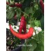 Guindilla Verde Pepper Seeds Guindilla Verde Pepper Seeds