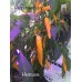 Heatwave Pepper Seeds 