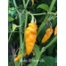Mako Akokosrade Pepper Seeds