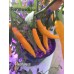 Heatwave Pepper Seeds 