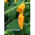 Mako Akokosrade Pepper Seeds