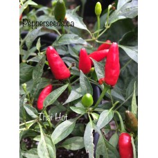 Thai Hot Pepper Seeds 
