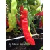 Aji Minas Gerais Pepper Seeds