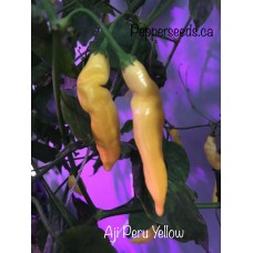 Aji Peruvian Yellow Pepper Seeds