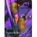 Nagabon Mustard Pepper Seeds Nagabon Mustard Pepper Seeds