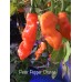 Peter Pepper Orange Pepper Seeds