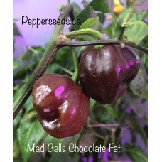 Mad Balls Chocolate Fat 