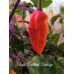 Black Panther Orange Pepper Seeds Black Panther Orange Pepper Seeds