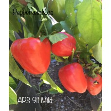APS 911 Mild Pepper Seeds