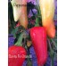 Santa Fe Grande Pepper Seeds 