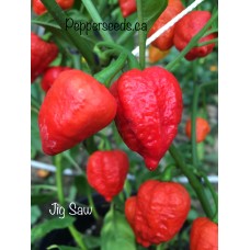 Jig Saw Pepper Seeds 