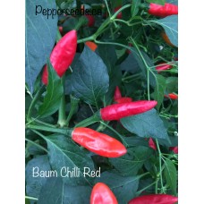 Baum Chilli Red Pepper Seeds 