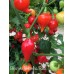 Biquinho Velmelho/Red Pepper Seeds Biquinho Velmelho/Red Pepper Seeds