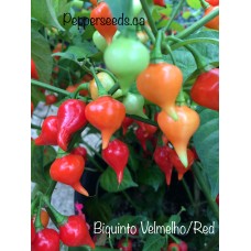 Biquinho Velmelho/Red Pepper Seeds