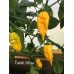 Fatalii Yellow Pepper Seeds