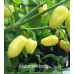 Habanero Ivory Pepper Seeds Habanero Ivory Pepper Seeds