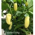Habanero Ivory Pepper Seeds Habanero Ivory Pepper Seeds