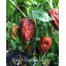 7-Pot Borg 9 Chocolate Long Pepper Seeds