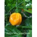 Burkina Yellow Scotch Bonnet Pepper Seeds