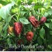 7-Pot Borg 9 Chocolate Long Pepper Seeds