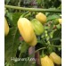 Habanero Ivory Pepper Seeds Habanero Ivory Pepper Seeds