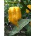 Carolina Reaper Yellow Pepper Seeds 