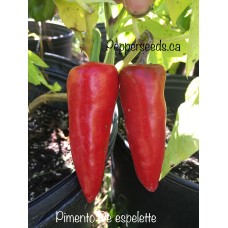 Pimento De espelette Pepper Seeds