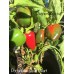 Portuguese Goat Heart Pepper Seeds 