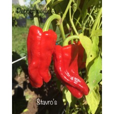 Stavro's Pepper Seeds Stavro's Pepper Seeds