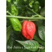 Bhut Jolokia x Sugar Rush Peach Pepper Seeds Bhut Jolokia x Sugar Rush Peach Pepper Seeds