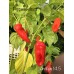 Antillais 14.5 Pepper Seeds 