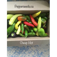 Cheap Hot Annuum Pepper Seeds Cheap Hot Annuum Pepper Seeds