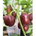 Brown Egg Pepper Seeds