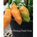 Pimento Moranga Peach Cross Pepper Seeds 